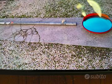 specchio  parabolico  con  palo