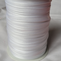 Nastro organza bordata