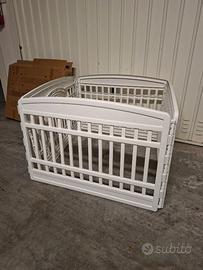 Box recinto per cane