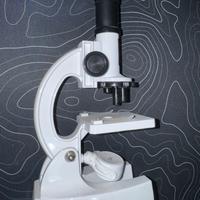 Telescopico