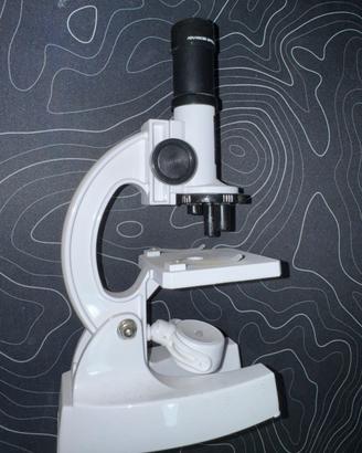 Telescopico