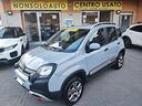 fiat-panda-cross-4x4-gpl-0-9-twinair-turbo-12-2019