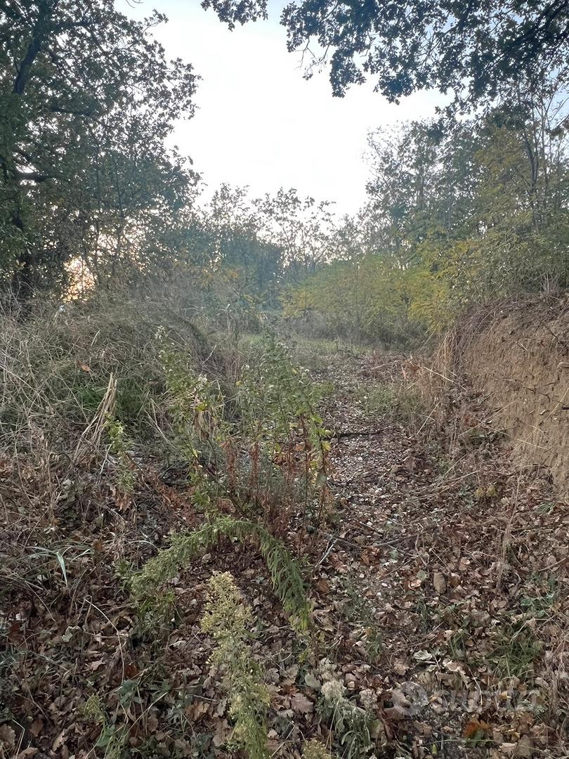 Terreno agricolo seminativo Montegiorgio - Vista 2