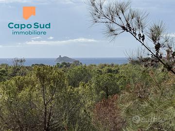Villa Singola Immersa nel Verde a Cala Zavorra