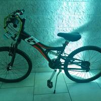 bici mai utilizzata 