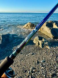 Molix Fioretto X Limited