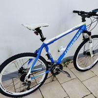 Bicicletta mountain bike