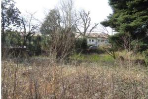 RGE 141/2022 Tribunale Verona - Lotto 1)