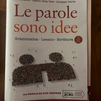 Libro scolastico usato