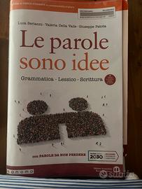 Libro scolastico usato
