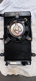 Radiatore Honda silverwing 600