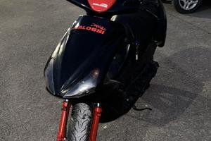Benelli 491 gt