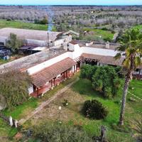 Masseria con volte a stella vicino dal mare