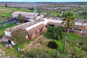 Masseria con volte a stella vicino dal mare