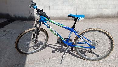 BICICLETTA MOUNTAIN BIKE