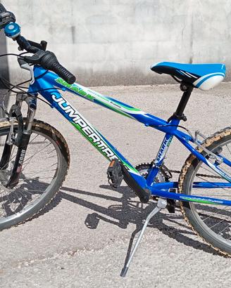 BICICLETTA MOUNTAIN BIKE