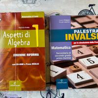 Libro di testo Aspetti di algebra 1