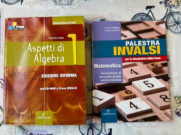 Libro di testo Aspetti di algebra 1