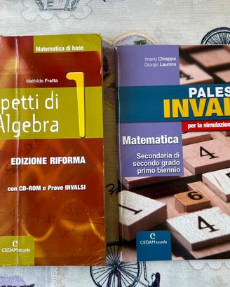 Libro di testo Aspetti di algebra 1