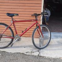 Mountain bike