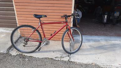 Mountain bike