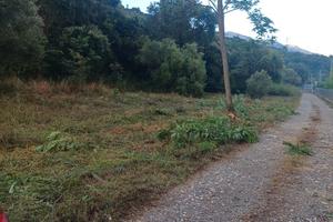 terreno a vibonati 