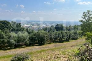 Terreno Agricolo Chiuduno [Cod. rif 3304281VCG]