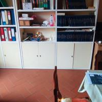 Grande libreria perfettamente mantenuta