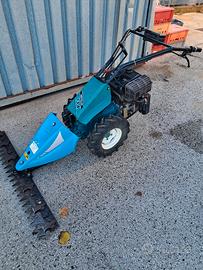 Minifalce bertolini 134