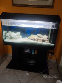 Acquario 200 litri
