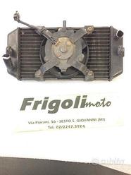 radiatore MAJESTY 400 RICAMBI YAMAHA 2005 2006 fil