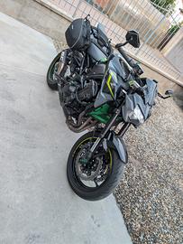 Kawasaki z900 - 2024