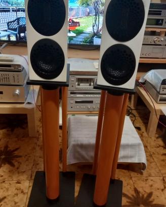 Scansonic M 10,  da Raidho high end