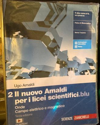 Il nuovo Amaldi i licei scientifici.blu 2