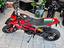 Immagine 12