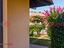 Immagine 7
