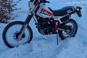 Honda XL 600 r 85