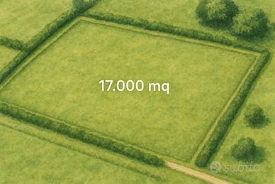 Terreno agricolo a mangiova