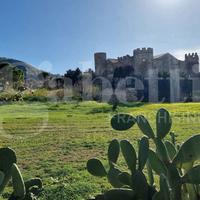 Duplex Sangineto [90VRG]