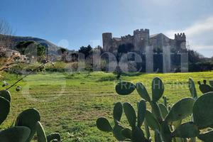 Duplex Sangineto [90VRG]