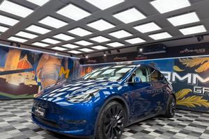 Tesla Model Y AWD Performance (265)