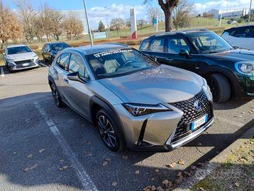 LEXUS UX250h