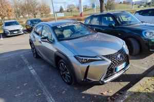 LEXUS UX250h