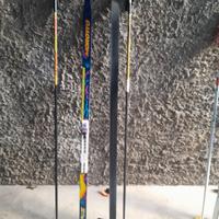 Sci fondo skating e alternato