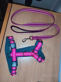 guinzaglio e pettorina ad H