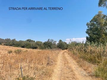 Terreno agricolo /vigneto