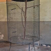 Vecchia voliera per uccelli