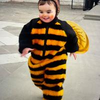 Costume di carnevale - APE