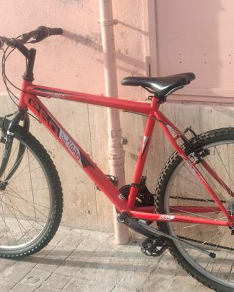 bicicletta 