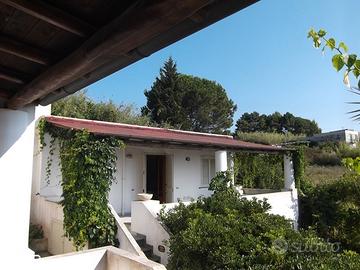 FALL 3/2014 Trib Barcellona PG - LOTTO 18